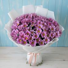 Букет цветов из:  Хризантемы в Боровёнка