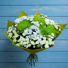 Букет цветов из:  Хризантемы #REPLACE_PRED# Боровёнка